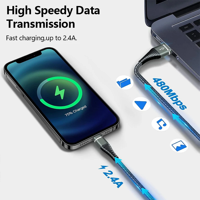 Fast Charging