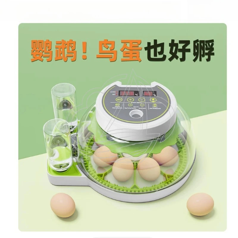 Mini Auto Egg Incubator, Constant Temp Hatcher for Poultry Parrot Pigeon
