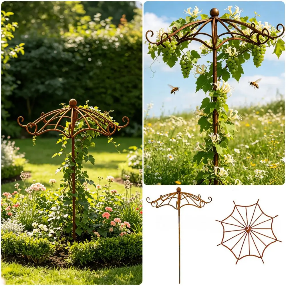 Durable Umbrella Shape Garden Vine Frame Metal Material Rusted Finish Plant Support Retro Style Outdoor Vine Frame Lawn Garden