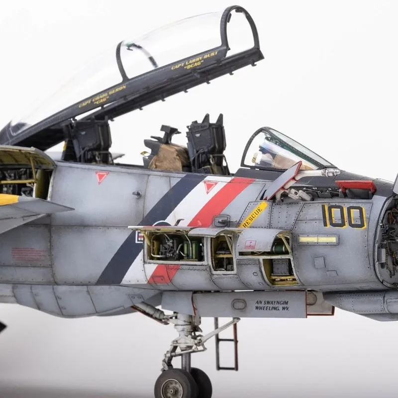 AMK MODEL Kunststoff-Montagemaßstabsgetreuer Modellbausatz 48003 F-14D Super Tomcat Special Edition (Kunststoffmodell) 1/48