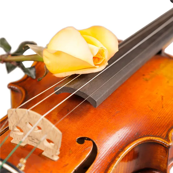 High Grade 4/4 Full Size Solid Spruce Acoustic Cello Premium Flamed Stringed Instrument For Professional Play Training