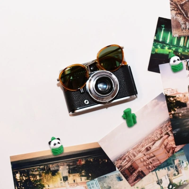  Pushpin Decorative Thumb Tacks Map Pins for Hanging Displaying Picture Note