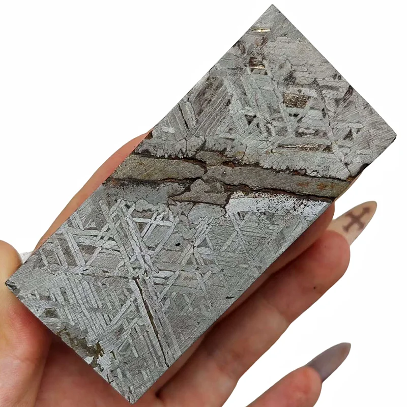 

406g Muonionalusta meteorite slice Natural iron meteorite material specimen Meteorite slice Collection -TC639