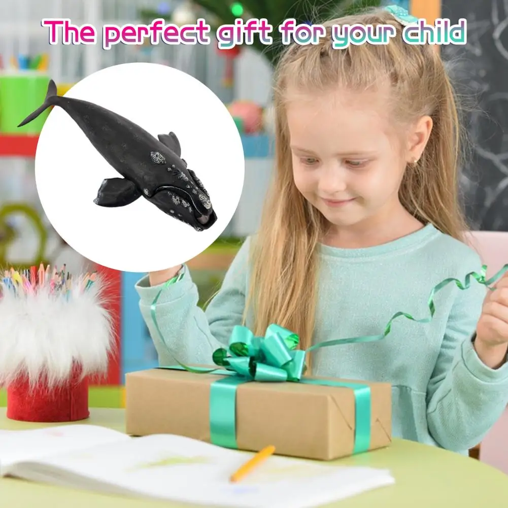 Life Toy Realistic Right Whale Figurine Sculpture for Kids Educational Ocean Toy Desktop Decoration Ornament for Toddlers Boys