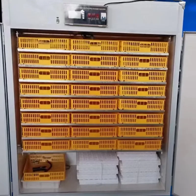 【Najlepiej sprzedające się】 Hurtownia JIATAI - 2112 jaj kurzych i inkubator