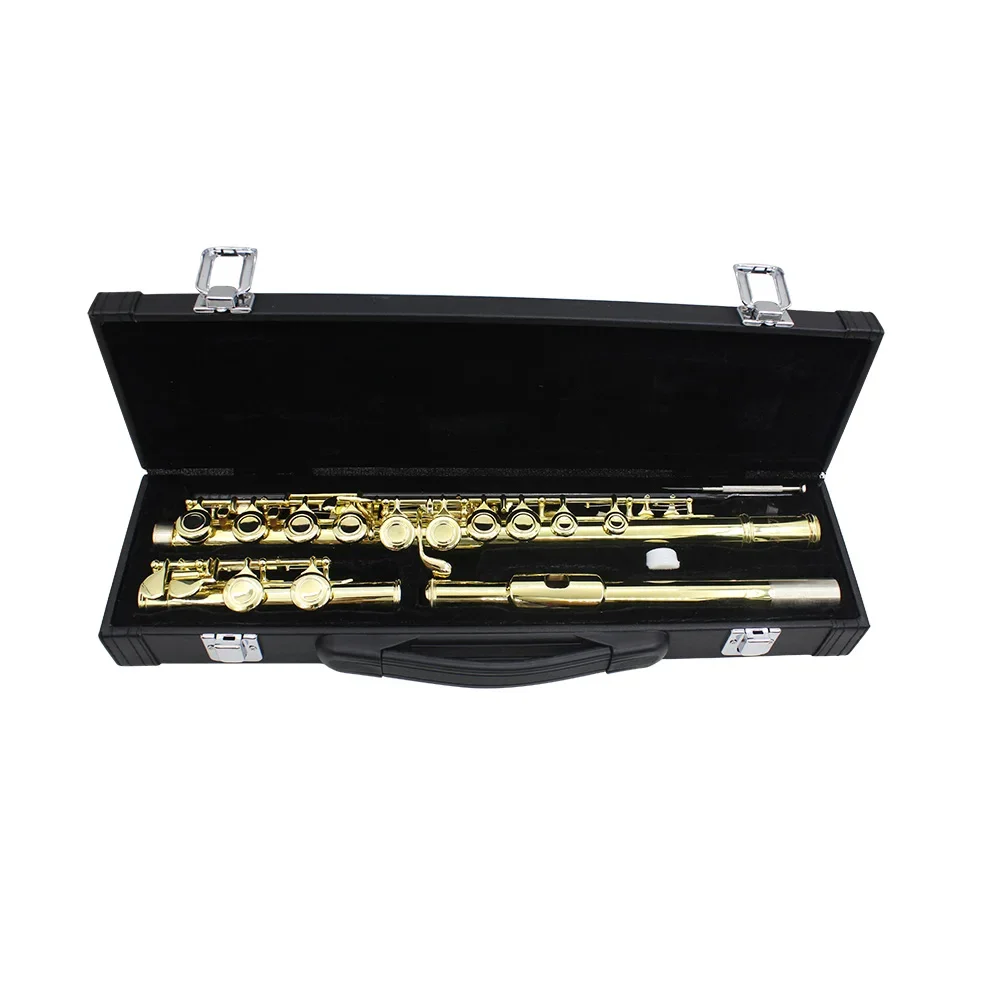 Hot Sale Professional OEM ODM Gold Silver Color Black Red Blue Flute Woodwind Musical Instrument C Tone 16 Closed Holes Flute
