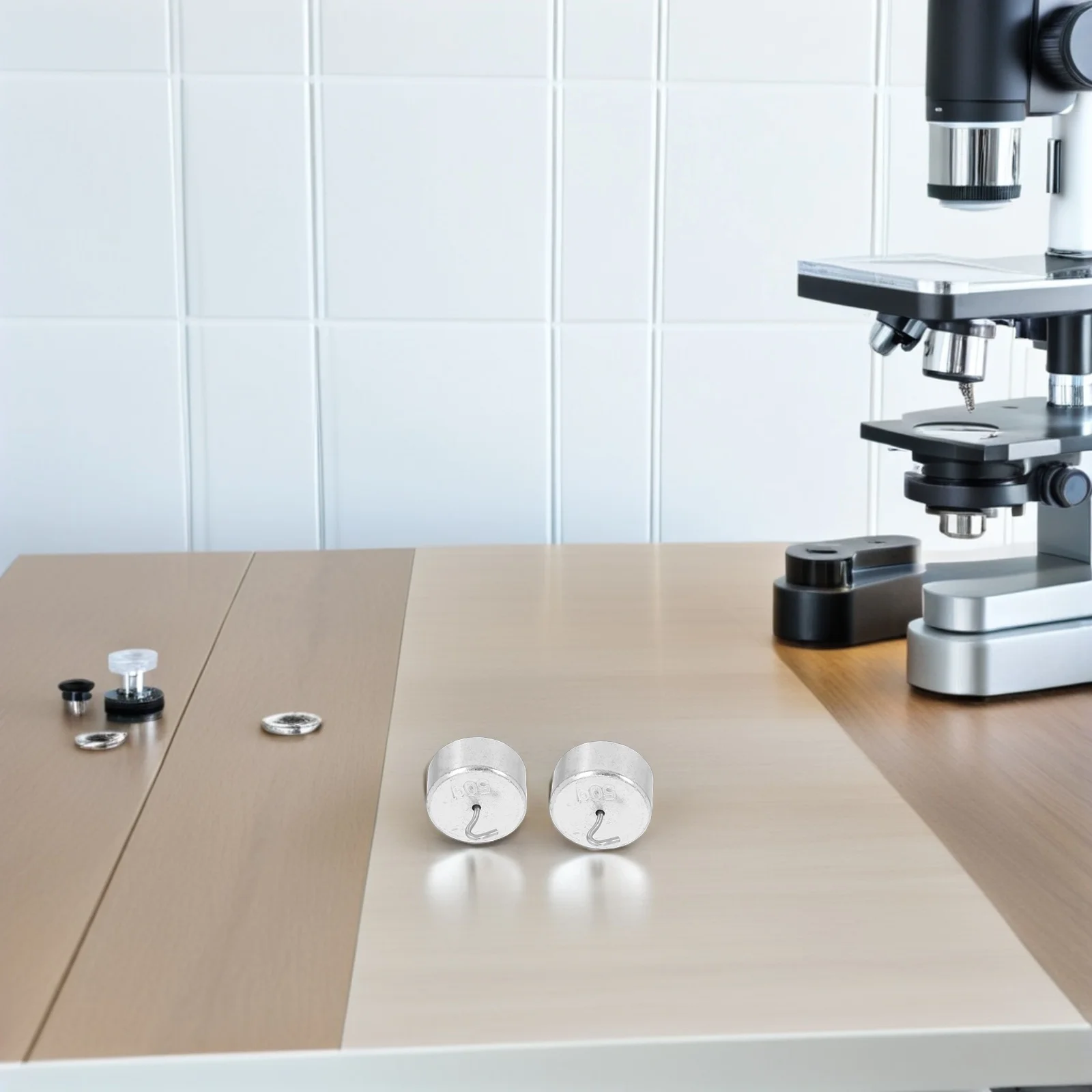 

10Pcs Hooked Lab Calibration Weights 50g Each Metal Weight Set for Scale Balancing and Experiment Calibration