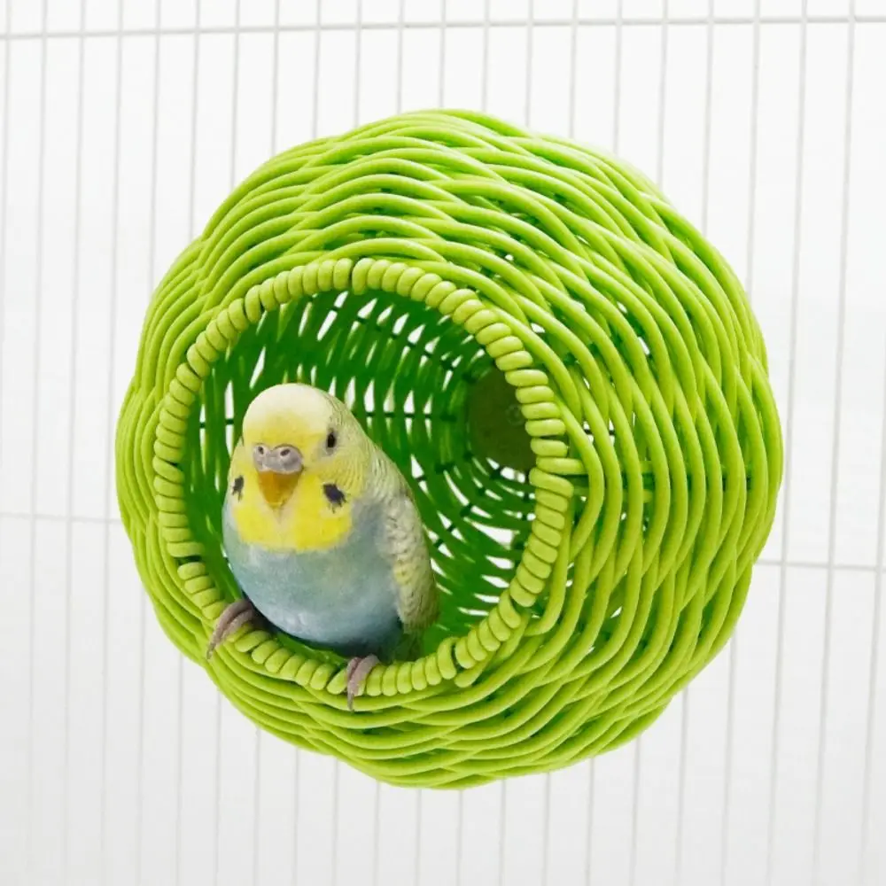 #43 Compare Birdhouses Before You Buy