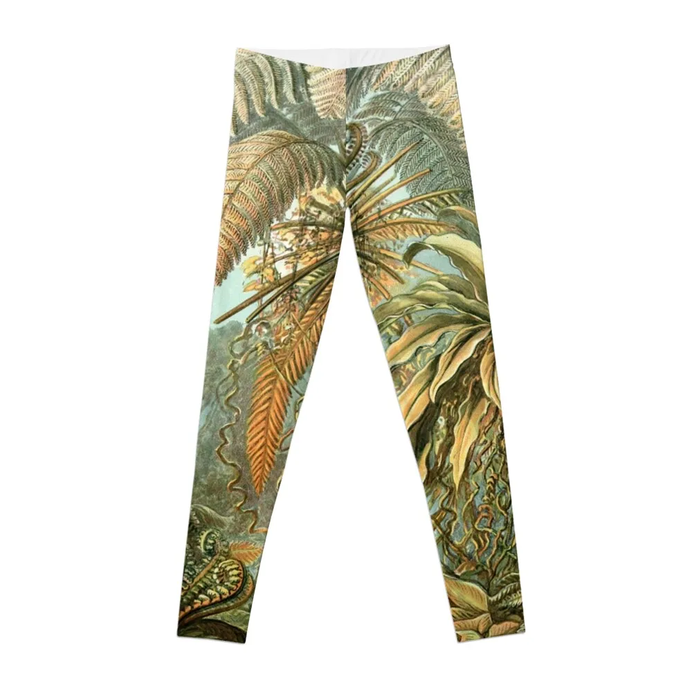 

Ferns - Ernst Haeckel Leggings Sweatpants for physical Women's pants Womens Leggings