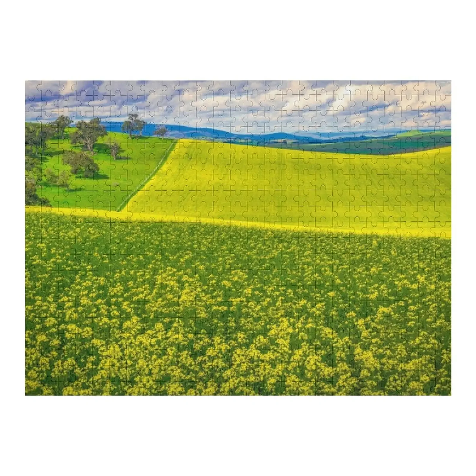 

Canola Field Art Jigsaw Puzzle Personalised Toys Children Puzzle
