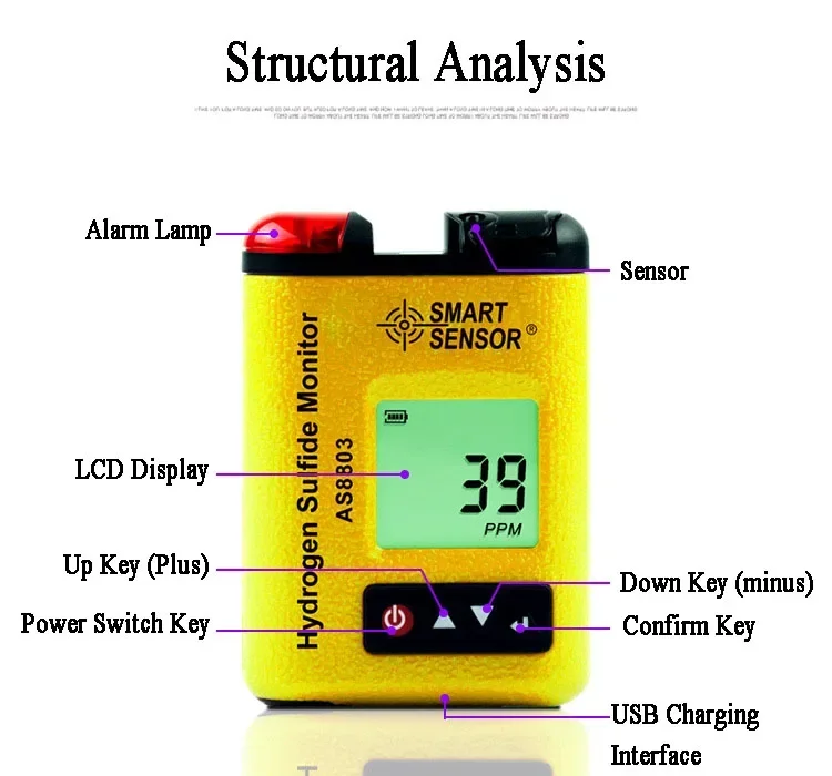 SMART SENSOR AS8803 High Precision Portable Hydrogen Sulfide Monitor H2S Gas Concentration Reagent Test Analyzer