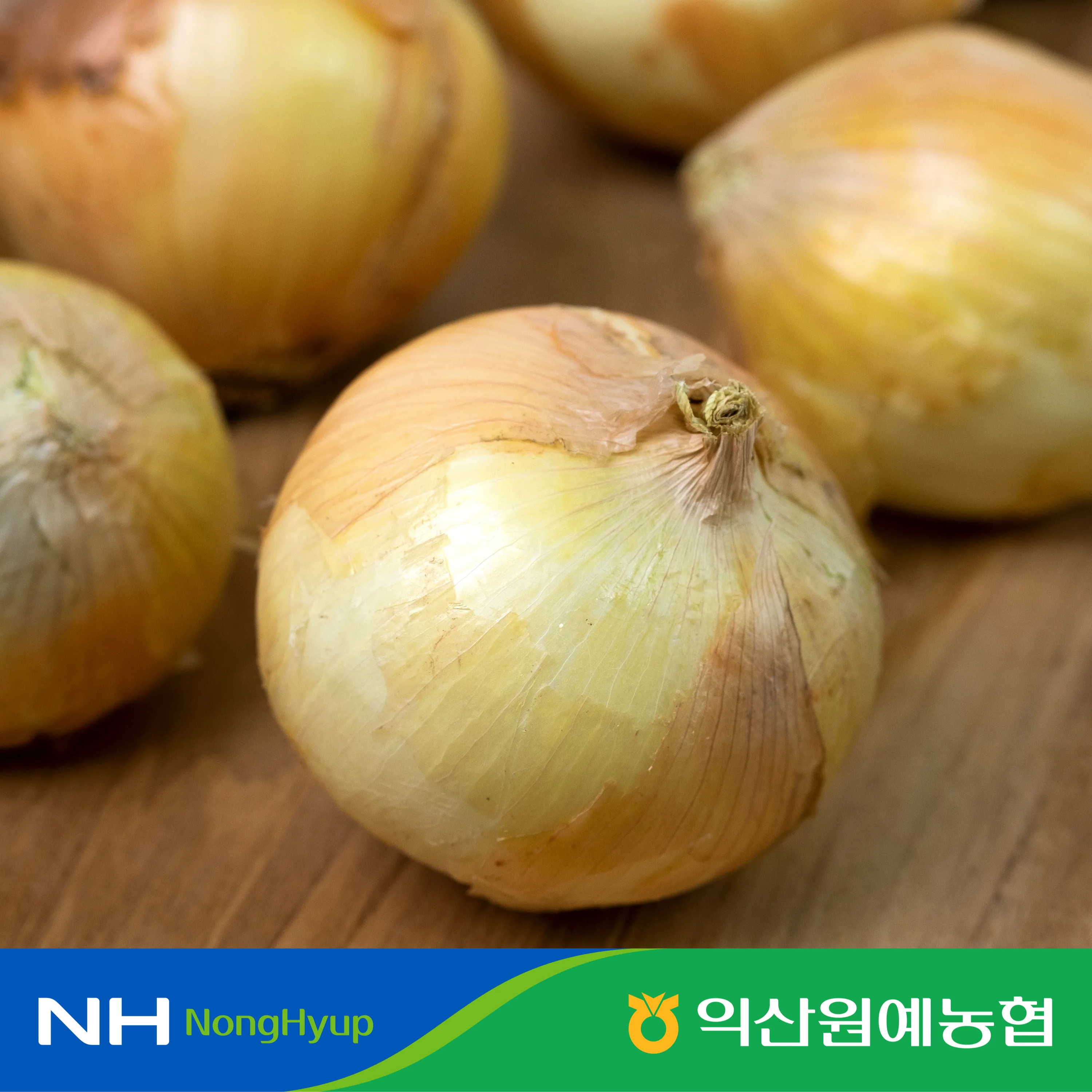 Inländische frische 2025, ausgewählte Zwiebeln für die frühe Ernte, fest und knusprig, Zwiebeln mittlerer bis großer Größe.