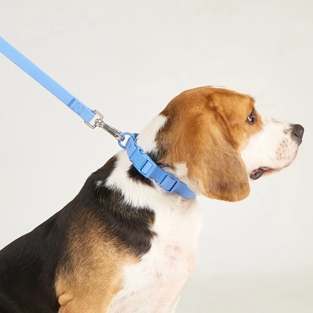 Soft Elastic Webbing Pet Collar Pet Identification Adjustable Waterproof Dog Collar Rustproof No Pull Safety Buckle Chain Cats