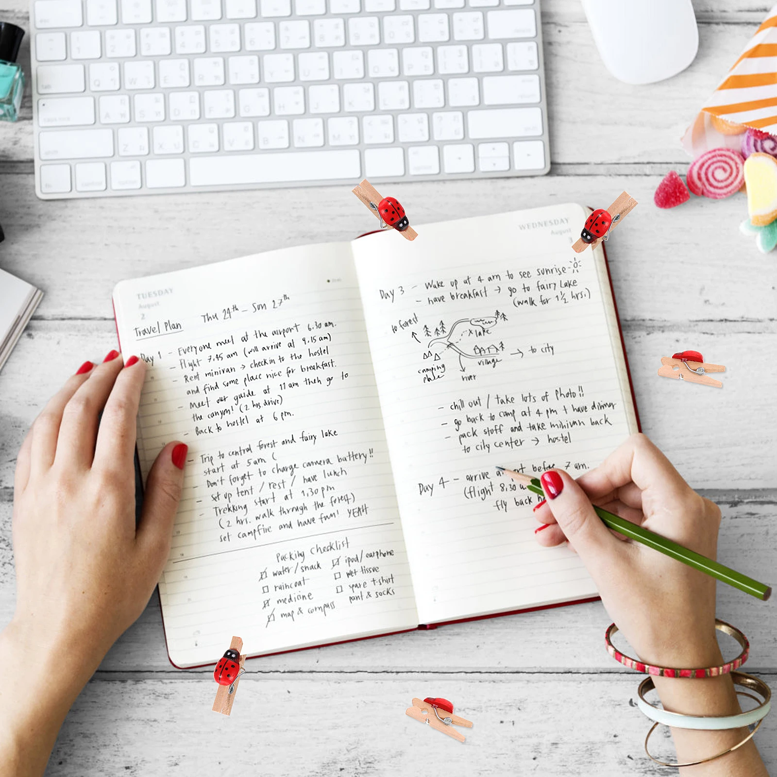 

100 Pcs Wooden Photo Clips Lovely Ladybug Shape Holder for Memo Note Card Hanging Christmas Birthday