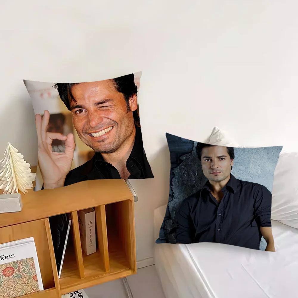 Singer Chayanne Puerto Rican Pillow Case For Sofa Bedroom Living Room Office Bedside Table Backrest Cushion Printing Square