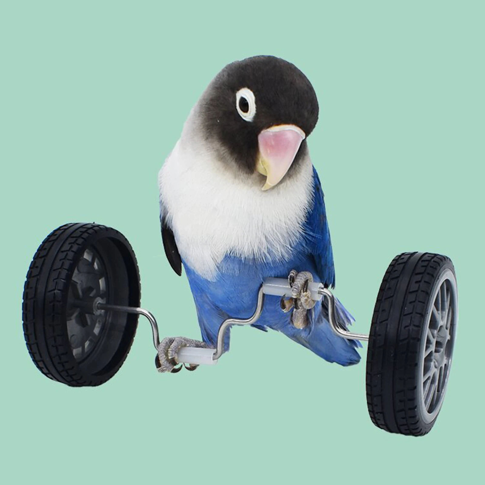 Picture 6: Creative Parrot Balance Toy Interactive Birds Toy Mini Intelligence Training Toy Pet Toy for Small Medium Birds Pet Supplies