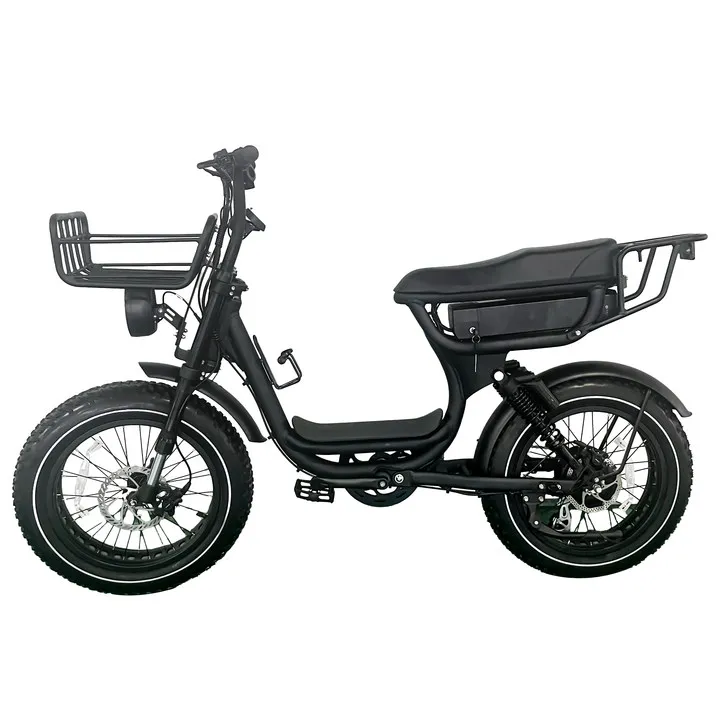 Electric Fat Bike 20 Inch Aluminum Alloy 500W/1000W 52V Lithium Battery 7 Speed Rear Hub Motor Max Speed 50km/h