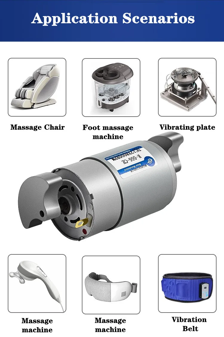 R-555 15W Micro Doppel Kopf Vibration Motor Kleine Vibration Motor 6V/12V/24V Einstellbare geschwindigkeit, vorwärts Und Rückwärts Drehung – Detail 6