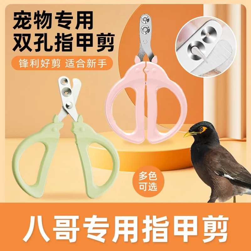 Bird Nail Clippers Scissors Trimmer Grooming Tool Dual Round Hole Budgie Cockatiel Parrot Claw Cutter Supplies for Small Birds