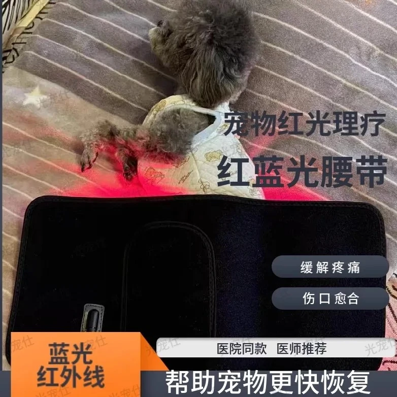 Pet infrared red and blue light physiotherapy dog fracture patella lumbar spine recovery joint cat red light therapy belt