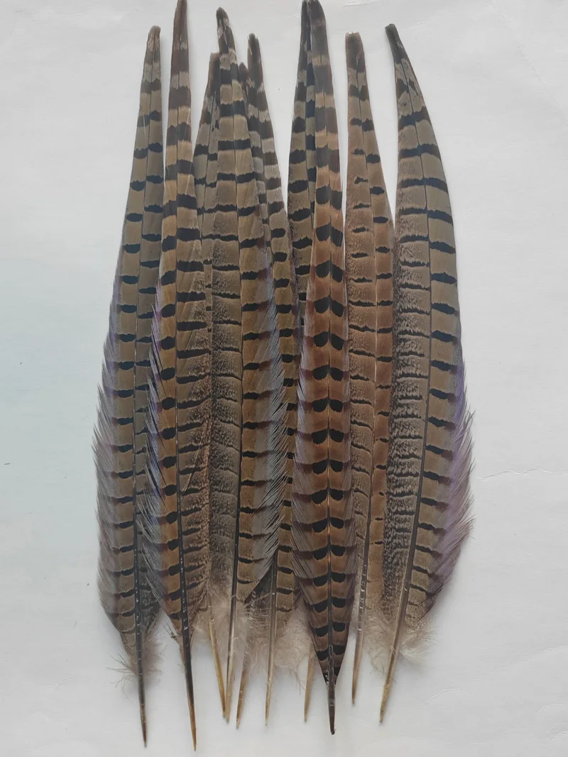 Plumas de colores!10Pcs/Lot!14-16\