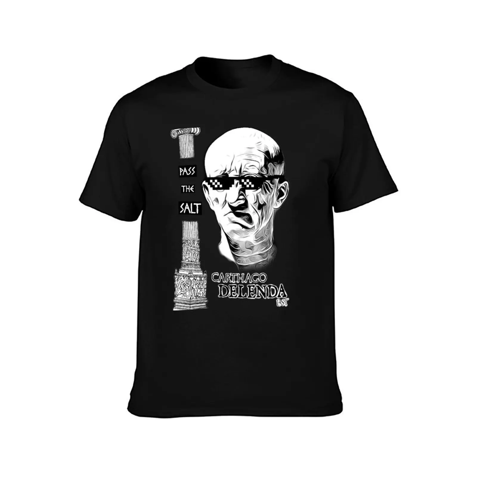 Pass the Salt, Carthage must be Destroyed T-Shirt, Summer Casual Cotton Tee, Oversized Streetwear Tops, Vintage Graphic Print