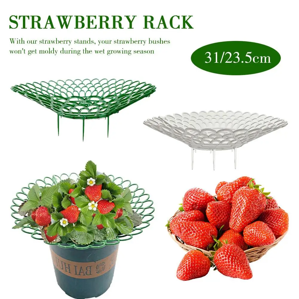 

Strawberry Rack Garden Tools Planting Rack Cultivation Balcony Holder Potted Plant Tray Vegetable Rack Grown Protection Rac G7H8