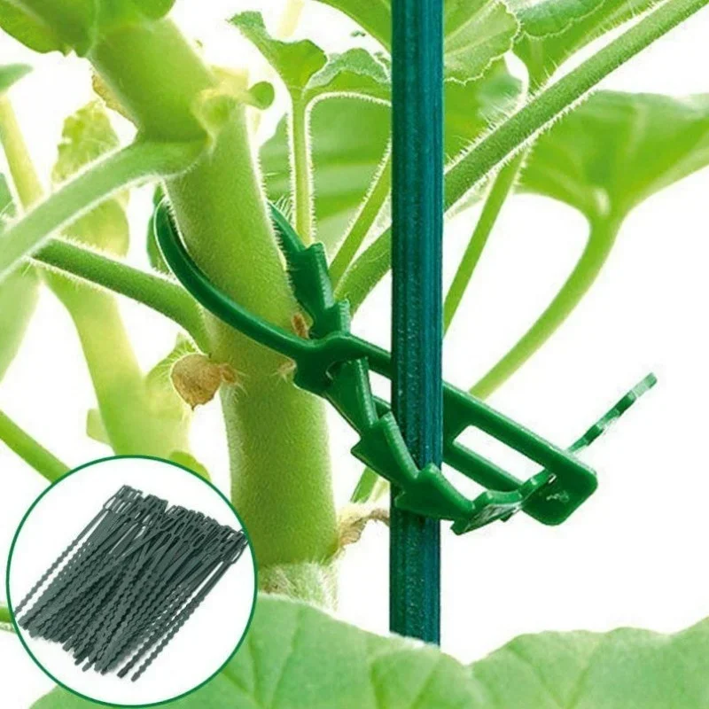 50 Stück wiederverwendbare, verstellbare Kunststoff-Pflanzenkabelbinder, Gartenranken-Stützclips für Baumkletterpflanzen, Tomatenstielbefestigung, Gartenzubehör