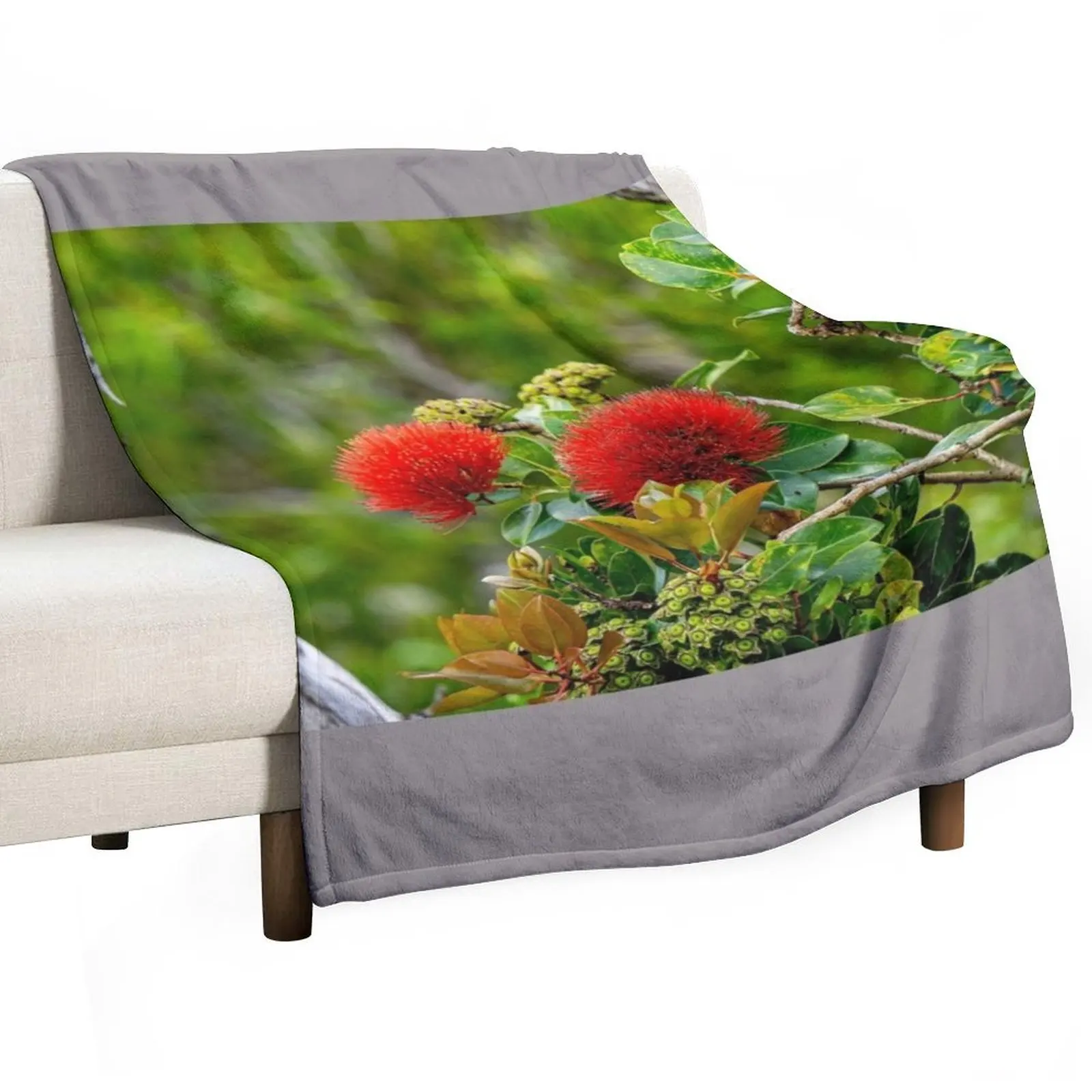 Lehua Twice Throw B… - image