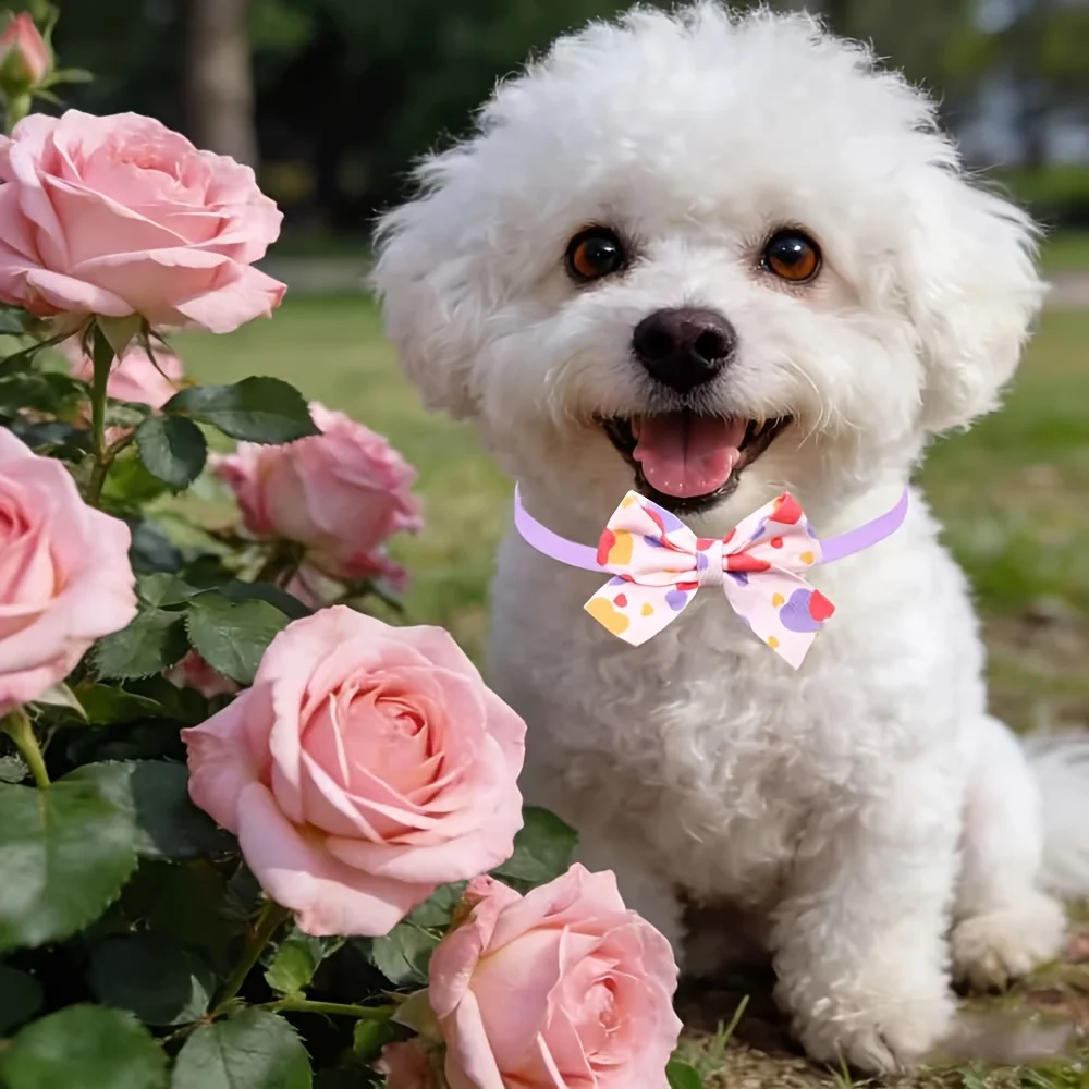 30PCS Sweet Heart Pattern Pet Bow Collar – Adjustable Cute Dog Bow Ties Accessory for Maltese, Yorkie & Small Pet Daily Wear - view 3