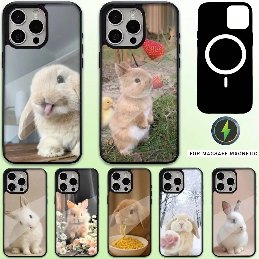 

Cute Bunny Phone Case For iPhone17,16,15,14,13,12,11 Plus,Pro Max Magnetic For Magsafe Wireless Charging