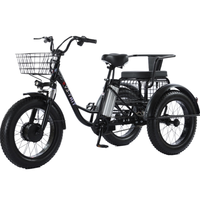 3 Wheel Cargo Electric Tricycle Fat Bike For Adults With Back Seat Family Electric Bicycle 500W 20 Inch Electric Bike Powerful