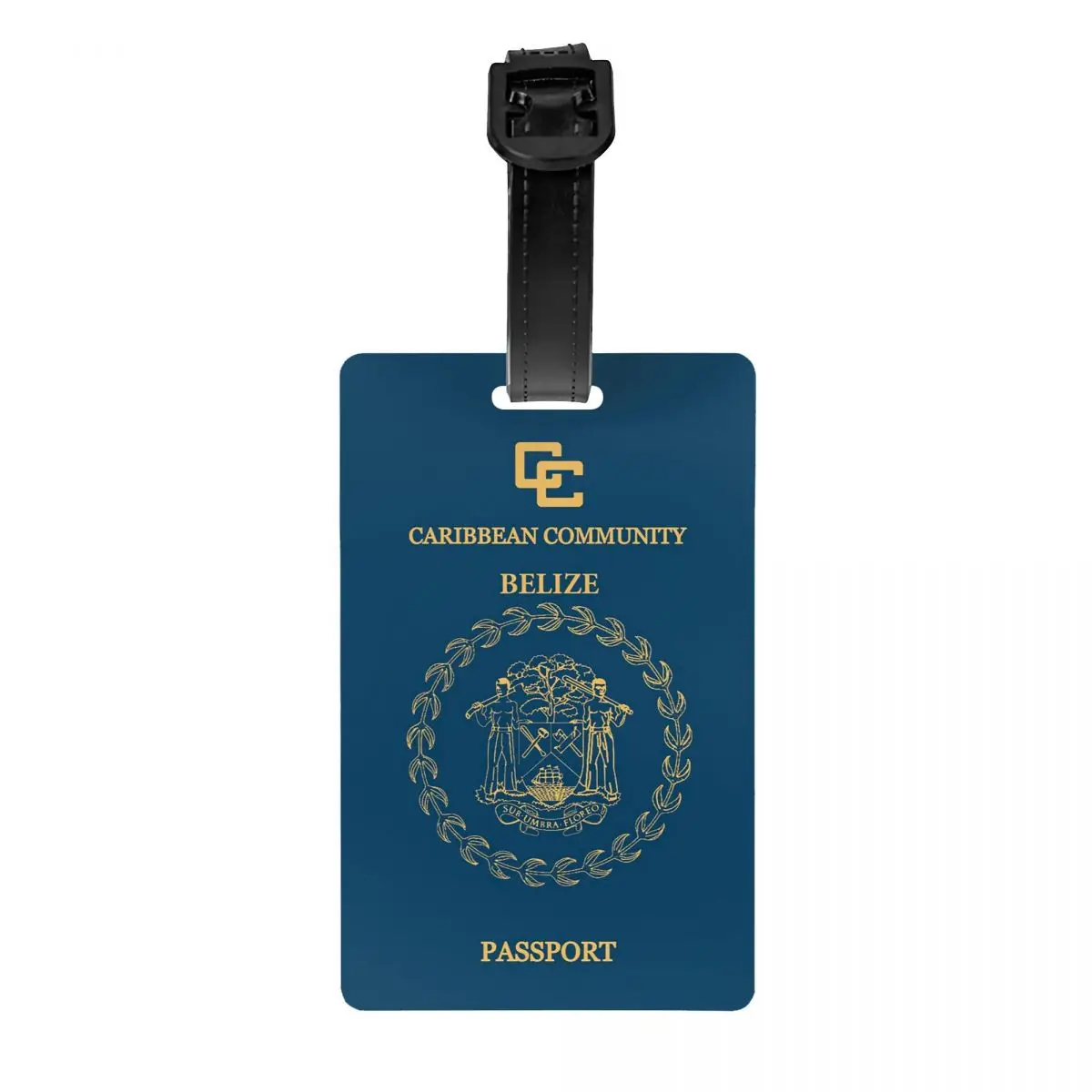 

Изготовленная на заказ багажная бирка для паспорта Belize с именной картой, конфиденциальная обложка, идентификационная этикетка для дорожной сумки, чемодана