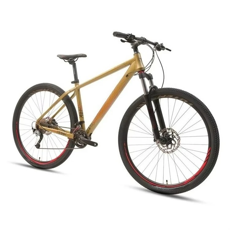 For Factory Mountainbike Size 29 Inch Hydraulic Disc Brake Aluminum Alloy Steel Fork 29er Mtb Bike with Mt200 18 Speed Trendy