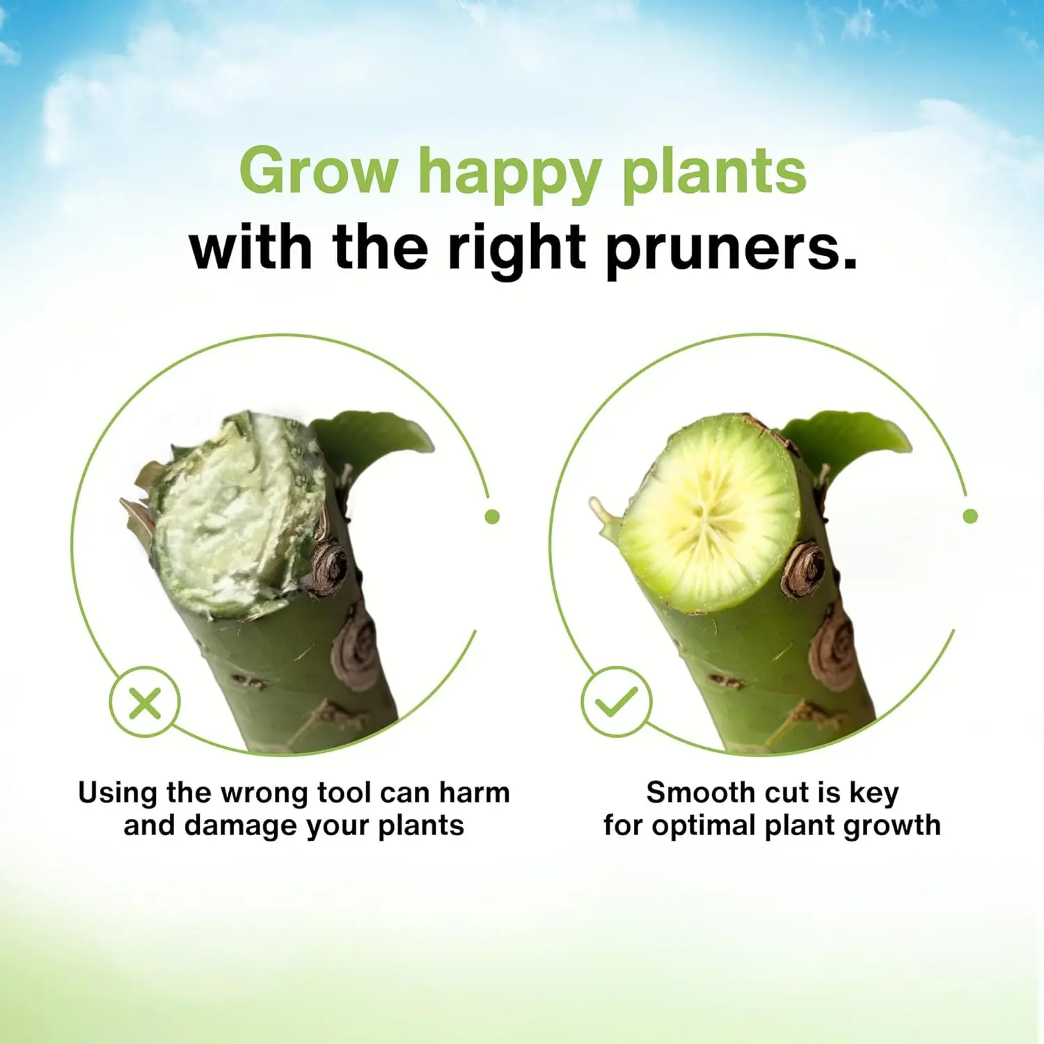 Podadoras manuales profesionales (pequeñas/medianas) - Tijeras de jardín ergonómicas antideslizantes, recortador de plantas de mano resistente