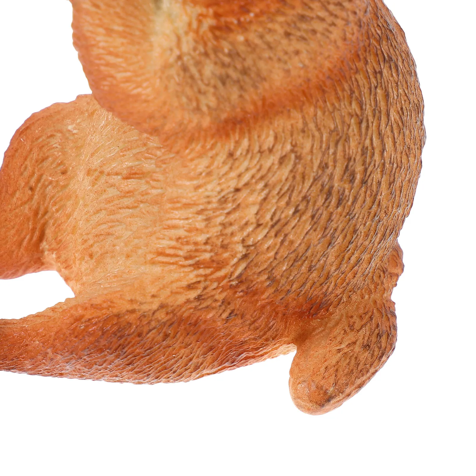 Realistic Groundhog Simulation Wild Animal for Kids Room Home School Kindergarten Learning Educational Cognitive Play Decor