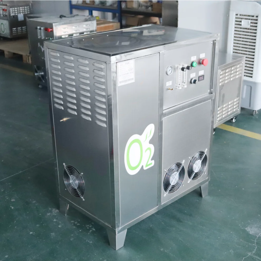 

High Pressure Oxygen Generator for Fish Farming 20L/min Ozone Industrial Oxygen Generator 0.2-0.7 MPa Oxygen Pressure