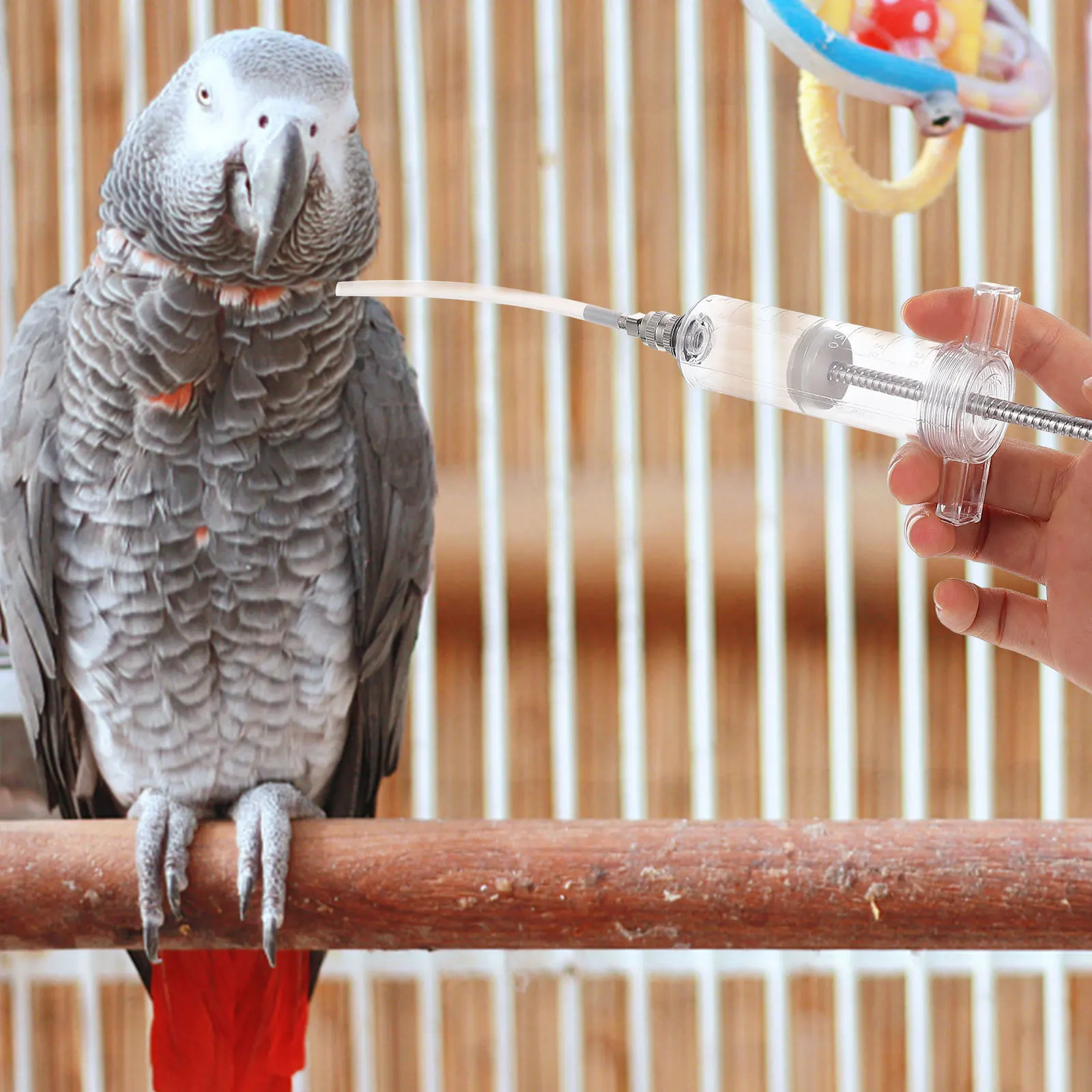 

1 set 1 Set Bird Feeder Kit Parrot Feeding Tube For Milk Water Hand Feeding Tool For Cockatiel