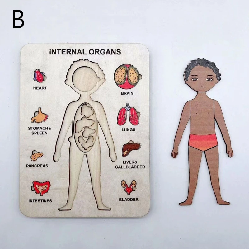 Zabawa dla dzieci nauka biologiczna zabawki edukacyjne symulowane anatomia człowieka szkielet Puzzle deski Montessori zabawka drewniana układanka