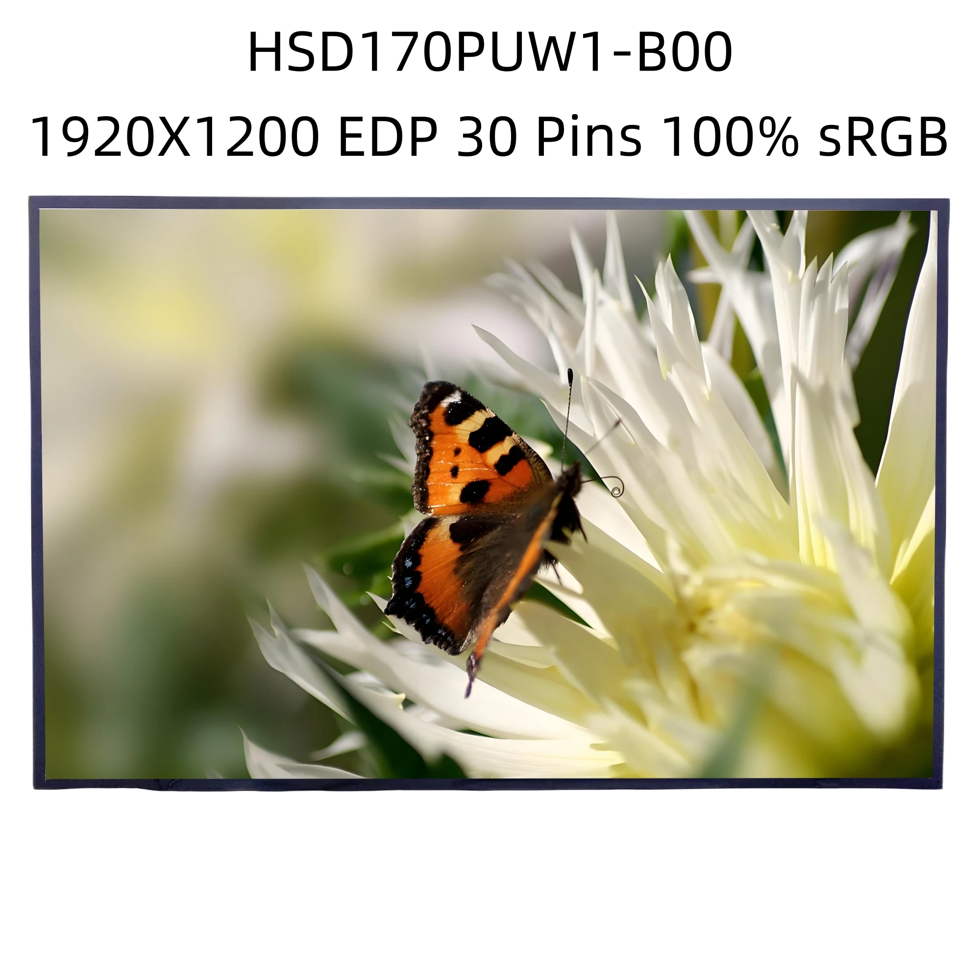 

HSD170PUW1 B00 HSD170PUW1-B00 17.0'' IPS Laptop LCD Screen Display Panel 1920*1200 EDP 30 Pins 100% sRGB