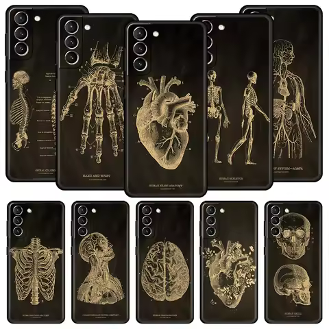Anatomy Skeleton Chalkboard Body Heart Phone Case For Samsung Galaxy S25 S24 S23 FE S22 Ultra S20 S21 5G S10 Plus S10E Cover