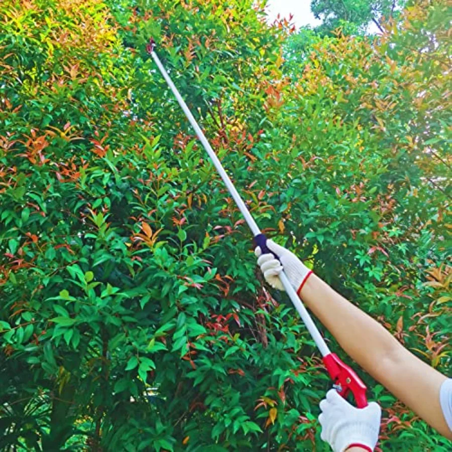 مقلم عمود 6 أقدام مع مقصات تشذيب طويلة المدى لتقليم الأشجار من الألومنيوم بمقبض خفيف الوزن لقص الحديقة مع قطع وغطاء