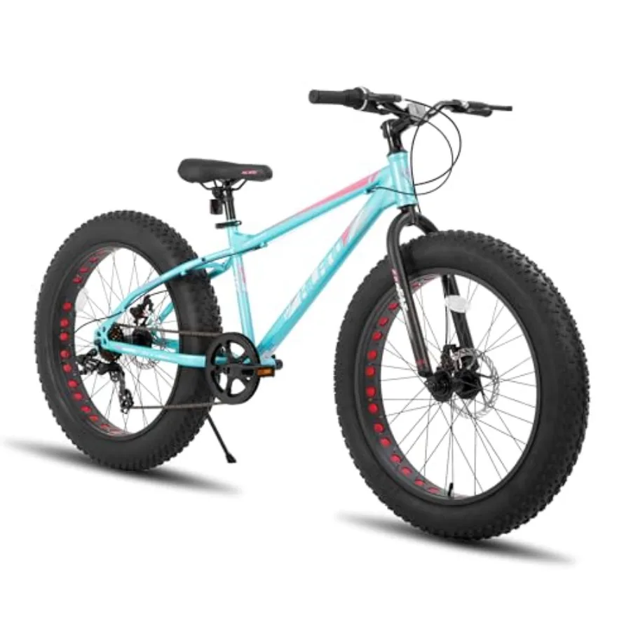 

Mountain bike for beach and snow use, high carbon steel frame, black, wide fat tires with 7-speed gearing and dual-disc brakes