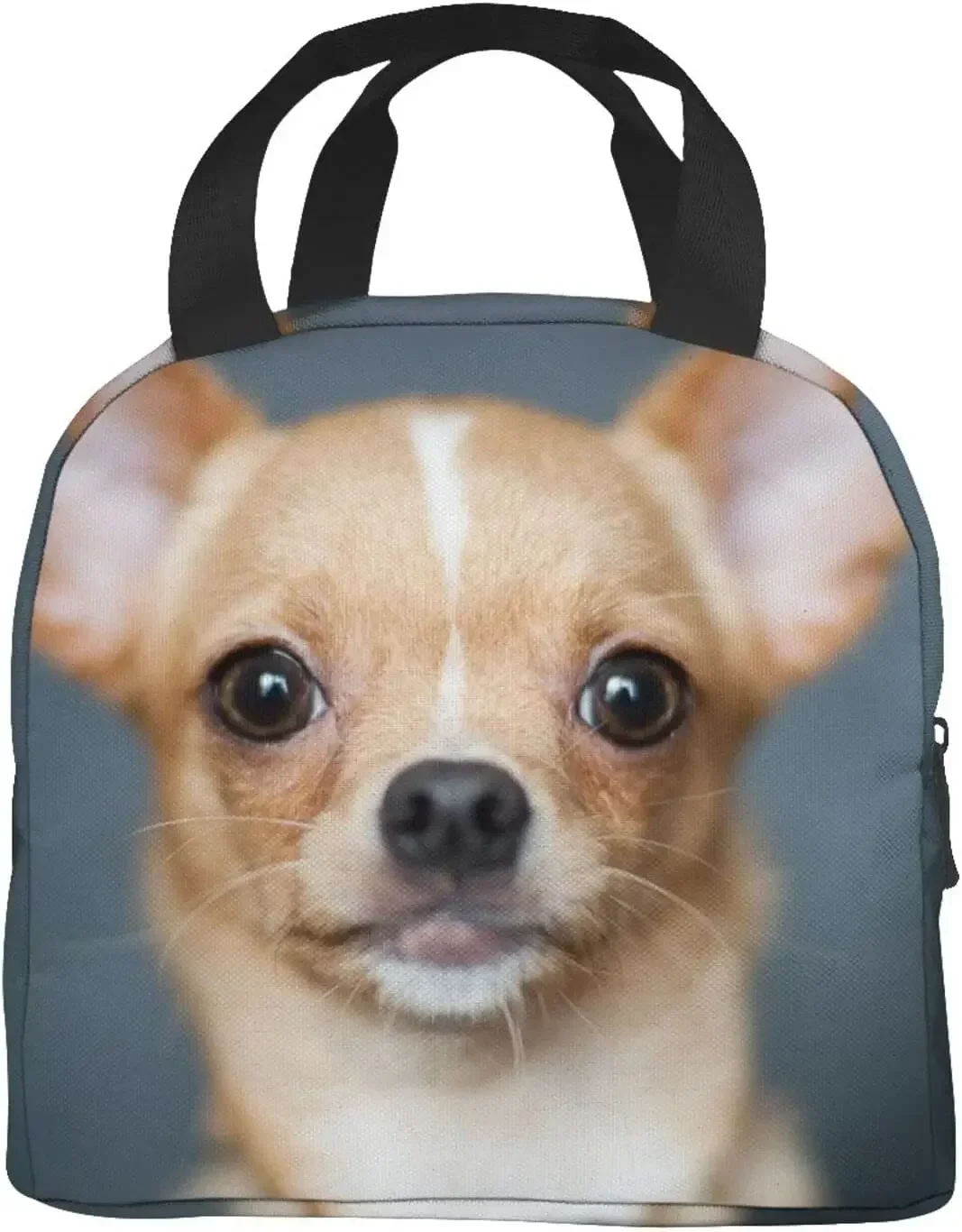 Reusable Insulated Lunch Bag Cute Chihuahua Portable Insulated Lunch Bax Cooler Tote Box For Women Men Adults College Work