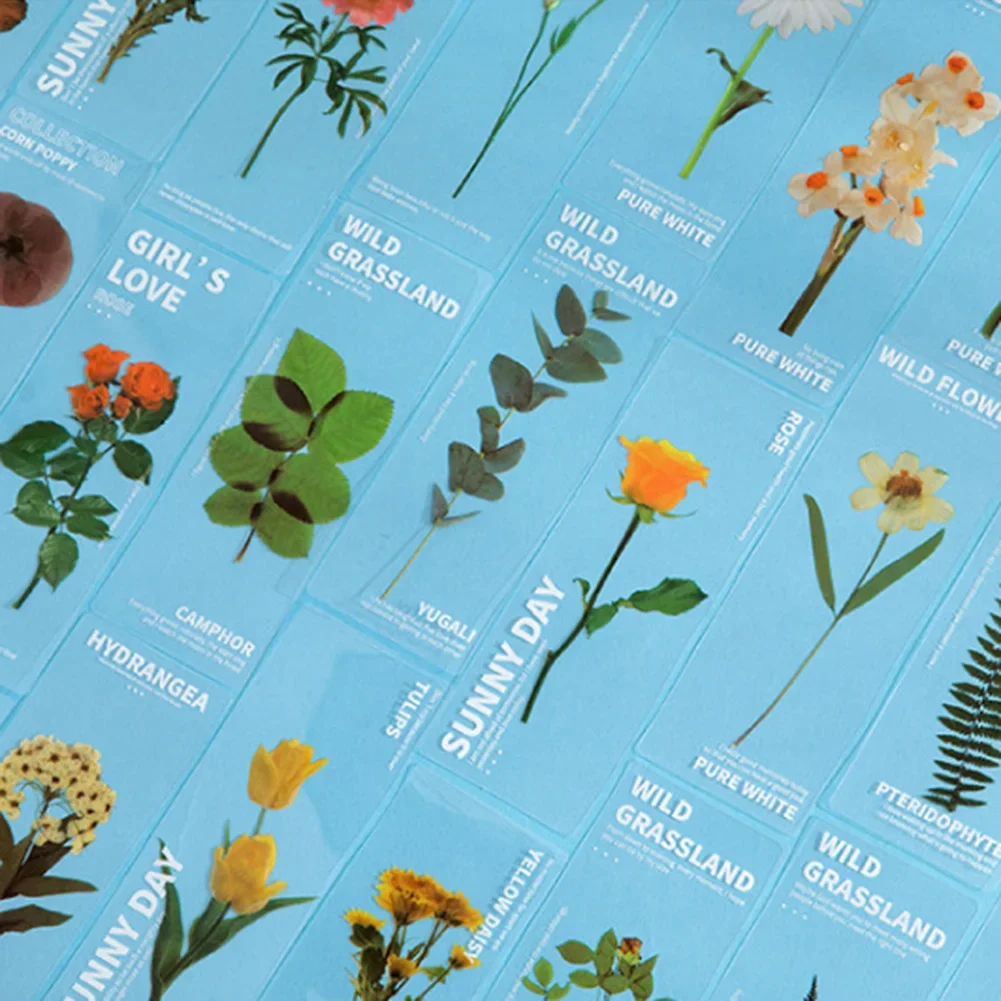 Reading Bookmark 5PCS/Pack Beautiful Crafts Elegant Fashionable Flower Leaves Literary PET Translucent Brand New