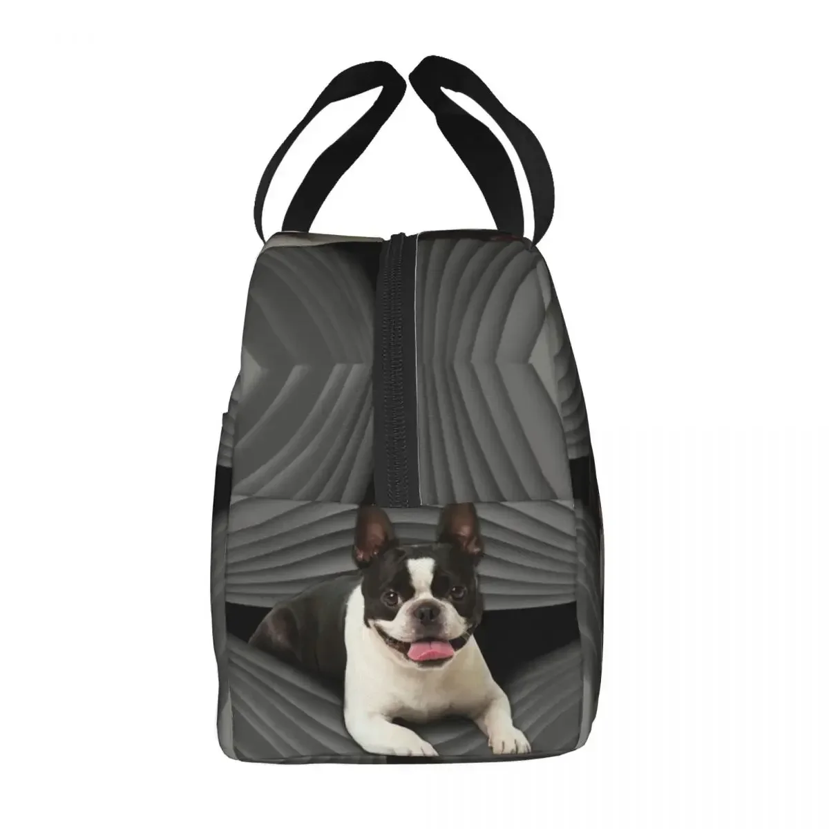 Boston Terrier Dog Portable Lunch Boxes for Women Leakproof Cute Puppy Thermal Cooler Food Insulated Lunch Bag School Student