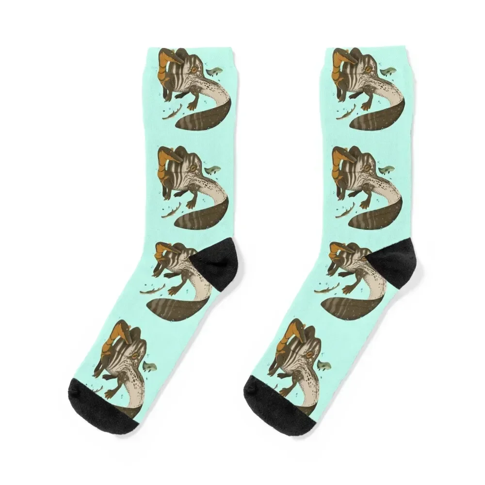 

Spinosaurus Socks short warm winter Novelties luxe Man Socks Women's