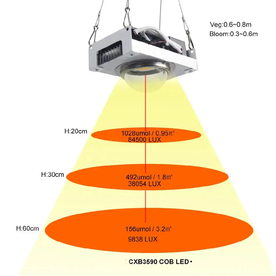 Imagem -05 - Cob Full Spectrum Led Grow Light Plant Lamp Tenda Interior Estufas Planta Hidropônica Cxb3590 100w 3000k 3500k 5000k