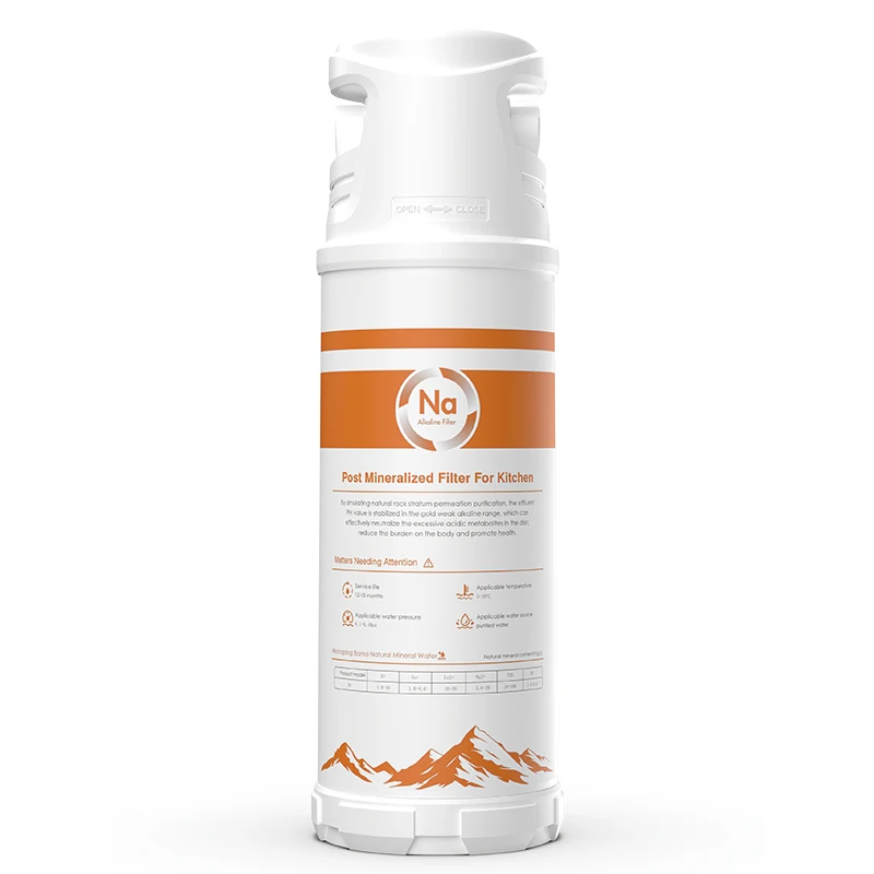 Customizable Trace Element Mineralized Filter for RO Water Purifier