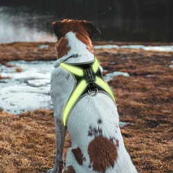 8 Speed Color-changing Luminescent LED Fiber Cross Strap USB Pet Mesh Chest Strap For Going Out